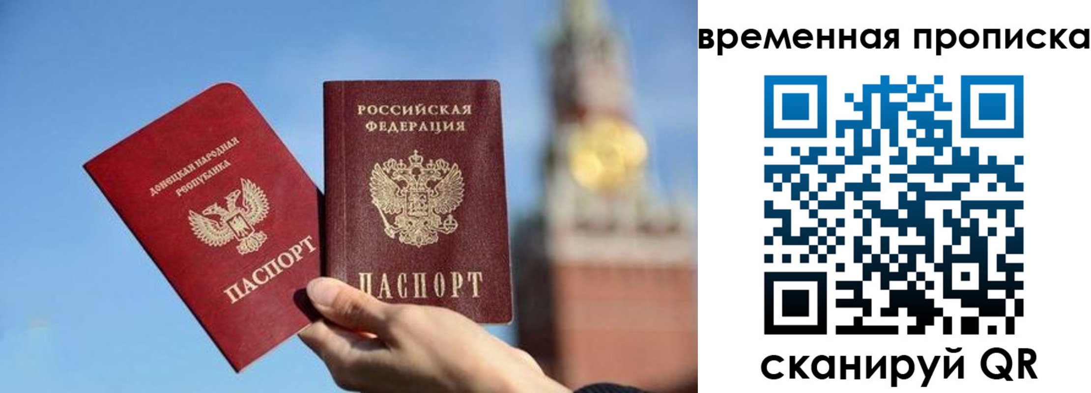 миграционный учет в Светлогорске